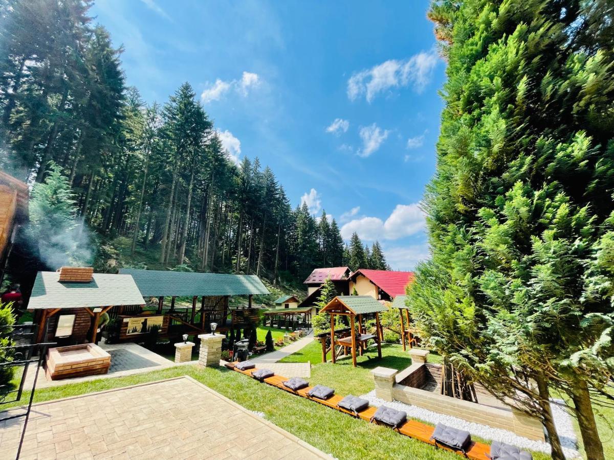Boutique Hotel Casa Emil بويانا براسوف المظهر الخارجي الصورة